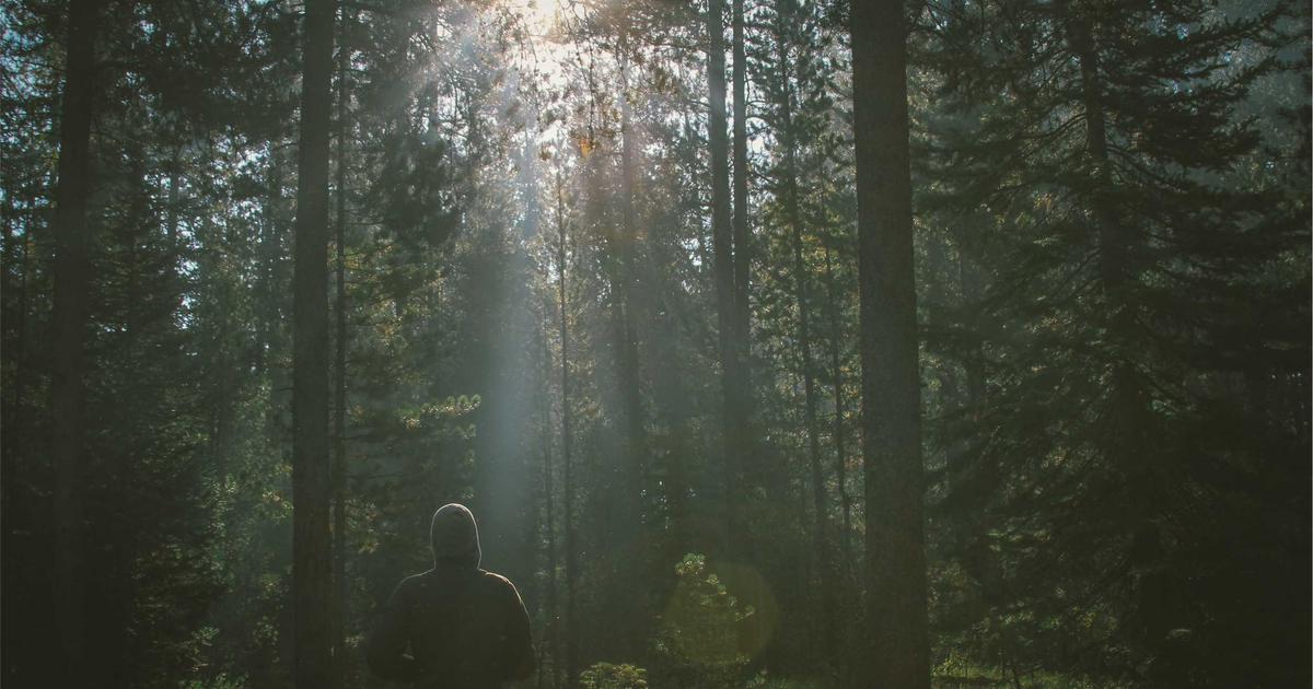 On-Demand Cannabis Delivery in Ashland: How It Actually Works